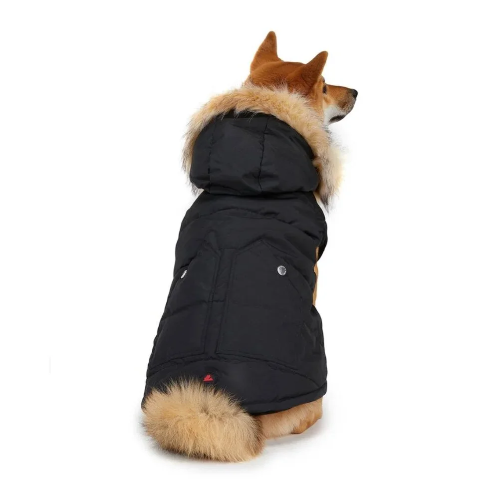 Pajar Pajar Bernard Hooded Dog Parka Black